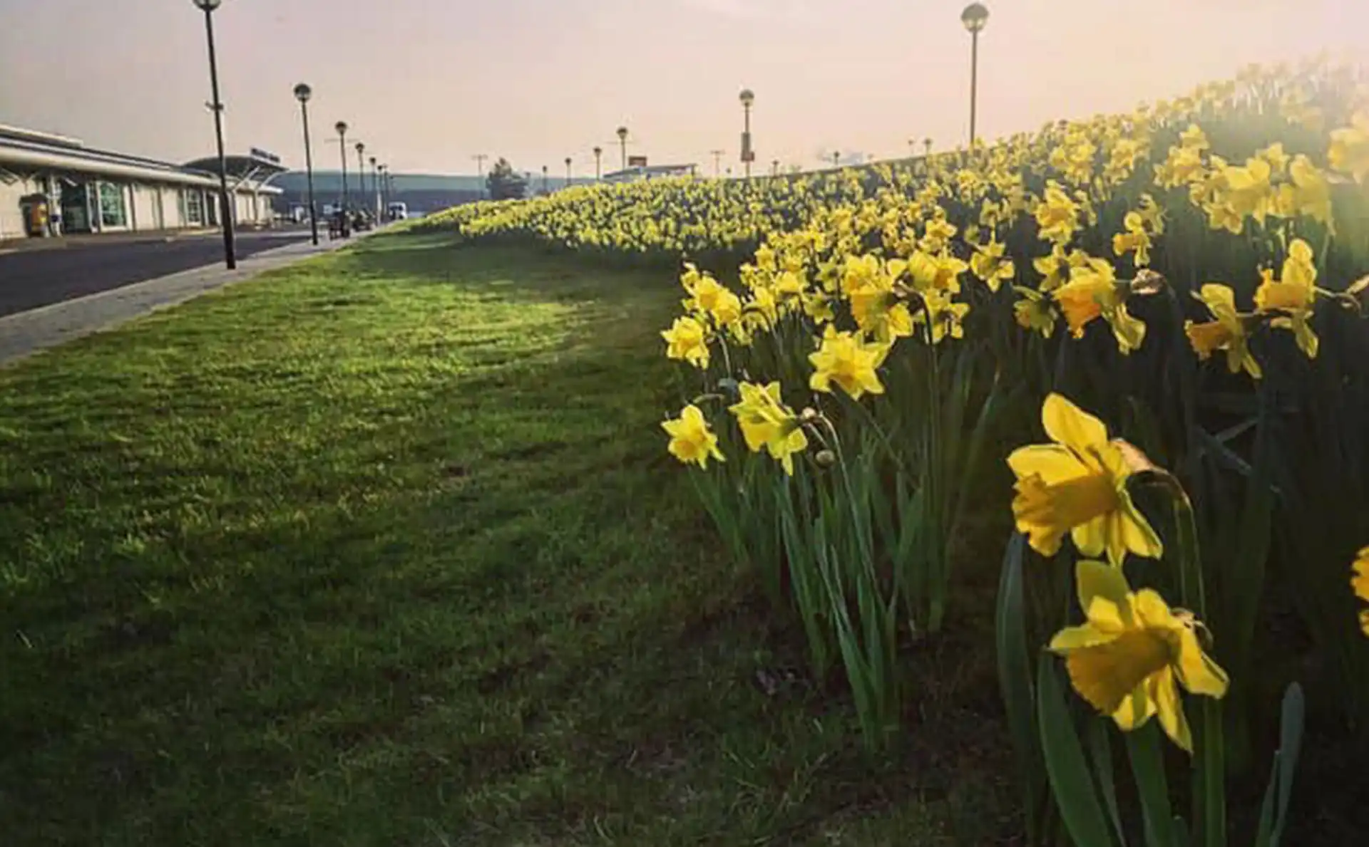 Oh, March and spring approaching!